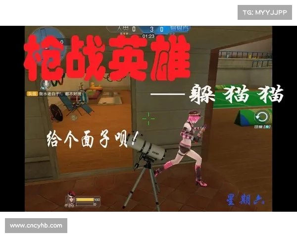 枪战英雄攻略视频 枪战英雄攻略视频