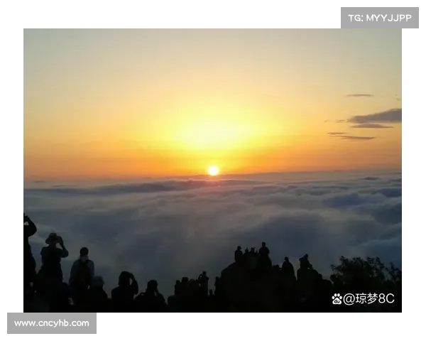 风神塔攻略秘籍 轻松登顶云霄之巅 风神塔攻略秘籍 轻松登顶云霄之巅